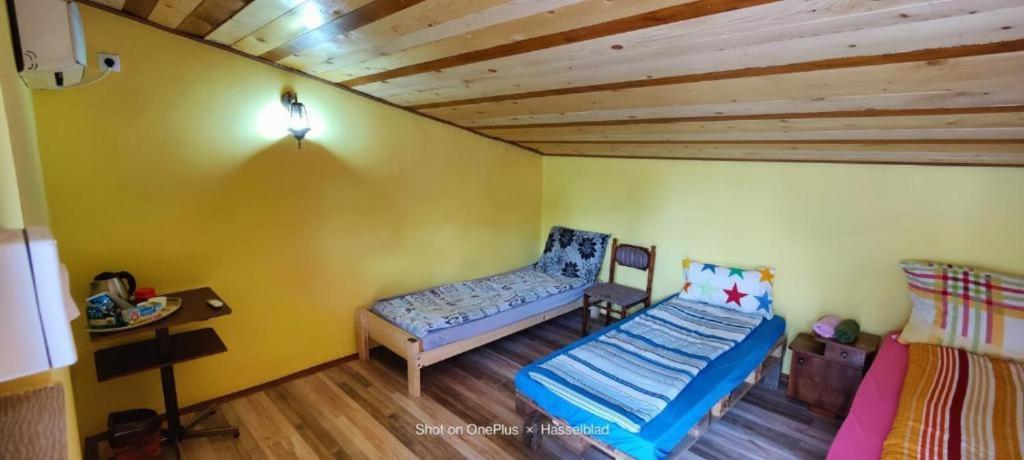 Hostel Horgos Centar Bagian luar foto